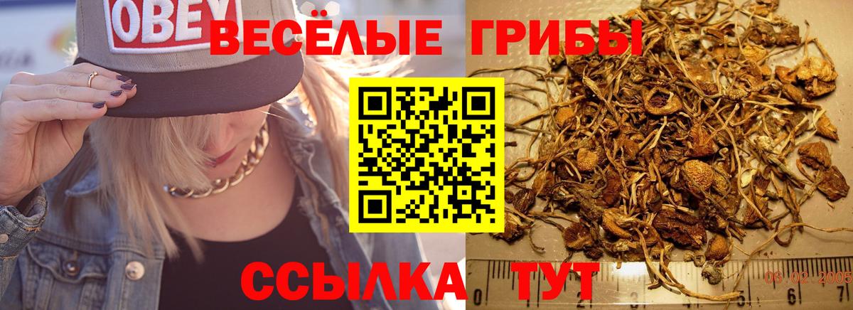 Псилоцибиновые грибы Psilocybine cubensis  Псилоцибиновые грибы MAGIC MUSHROOMS  Вход с VPN  Ковров 